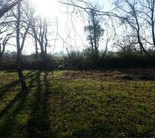 1ere visite!
Gros coup de coeur