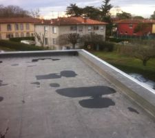 Pose des rives et des couvertines