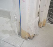 Moisissures, dégâts des eaux ?