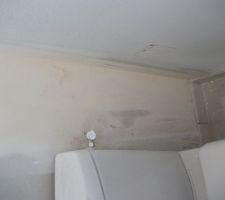 Moisissures, dégâts des eaux ?