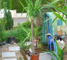 Jardin-terrasse -fleurs