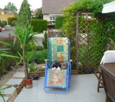 Jardin-terrasse -fleurs