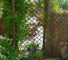 Jardin-terrasse -fleurs