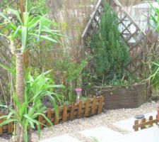 Jardin-terrasse -fleurs
