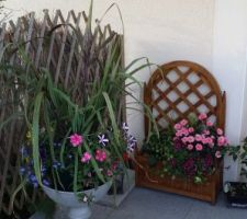 Jardin-terrasse -fleurs