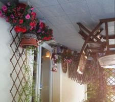Jardin-terrasse -fleurs