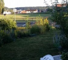 Jardin-terrasse -fleurs