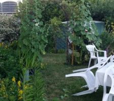 Jardin-terrasse -fleurs