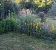 Jardin-terrasse -fleurs
