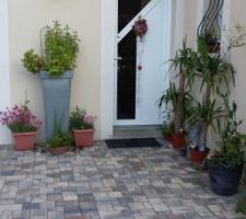 Jardin-terrasse -fleurs
