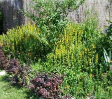 Jardin-terrasse -fleurs