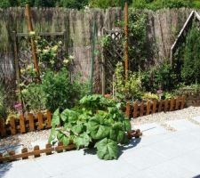 Jardin-terrasse -fleurs
