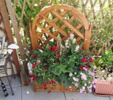 Jardin-terrasse -fleurs