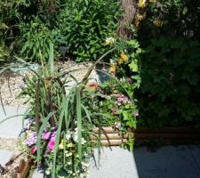 Jardin-terrasse -fleurs