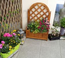 Jardin-terrasse -fleurs