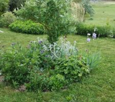 Jardin-terrasse -fleurs