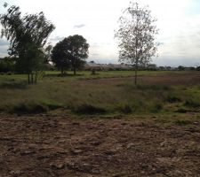 Vue orient&eacute;e Ouest. Tant que le champ reste une terre agricole, ce sera vue sur le soleil couchant tous les soirs. Sur la terrasse l'&eacute;t&eacute;, &ccedil;a nous fait d&eacute;j&agrave; envie.