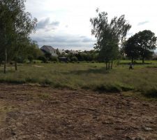 Vue orientée Sud-Ouest. Petit chemin de balade en face et espace dégagé pour promener le chien...