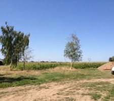 La culture du champ va changer r&eacute;guli&egrave;rement. Le paysage va changer plusieurs fois dans l'ann&eacute;e. on trouve &ccedil;a cool.