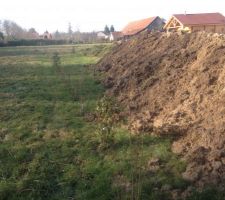 La haie planter au printemps dernier commence a bourgeonné