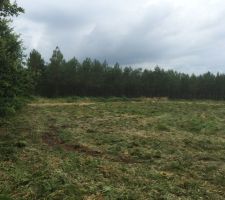 Choix final du terrain