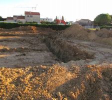 Premier coup de pelle