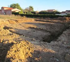 Premier coup de pelle