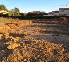 Premier coup de pelle