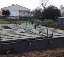 Le primolight VS de Rector