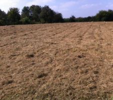 Photo du futur lotissement