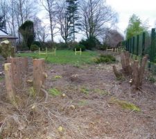 Le terrain est arbor&eacute;, il faut dessoucher...
