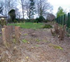 La vue d'ensemble: chaises, souches, etc. samedi 7 f&eacute;vrier 2015 avec M. Bouamrir&egrave;ne!!