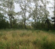 Vue sur le terrain vers le sud