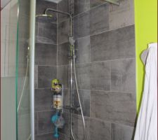 Douche carrelé et jointé et pose de la colonne de douche .