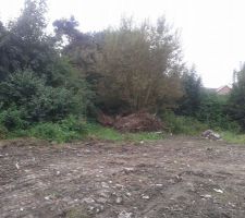 Terrain et for&ecirc;t