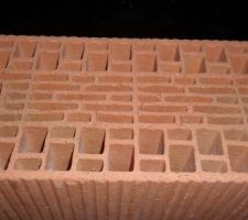 Briques utilisées pour la construction. Porotherm HOMEbric R20 Base 500*200*299