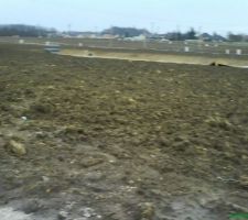 Notre terrain avant la construction de notre maison