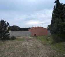 Visite du terrain avant arrachage des cypr&egrave;s.