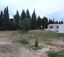 Visite du terrain avant arrachage des cypr&egrave;s.