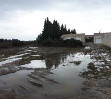 Terrain apr&egrave;s arrachage des cypr&egrave;s ET fortes pluies !!