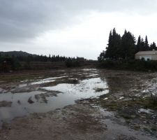 Heureusement qu'un monsieur est venu chercher du bois ! Mais il en reste encore beaucoup... Comment va t on se d&eacute;barrasser des souches ???!! Premiers soucis !