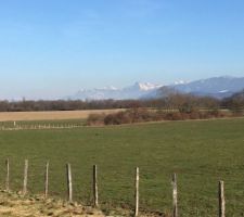 Vue depuis notre terrain