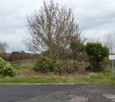 Terrain &agrave; notre achat non viabilis&eacute;