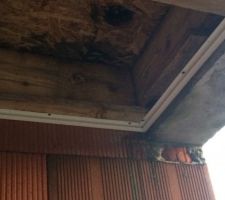 Plaques OSB sur lesquelles le liner du toit plat du carport est posé. Des moisissures se sont formées en raison de l'infiltration d'eau