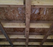 Plaques OSB sur lesquelles le liner du toit plat du carport est posé. Des moisissures se sont formées en raison de l'infiltration d'eau