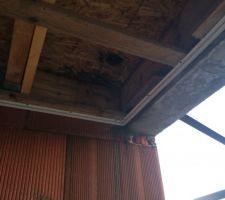 Plaques OSB sur lesquelles le liner du toit plat du carport est posé. Des moisissures se sont formées en raison de l'infiltration d'eau