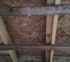 Plaques OSB sur lesquelles le liner du toit plat du carport est posé. Des moisissures se sont formées en raison de l'infiltration d'eau