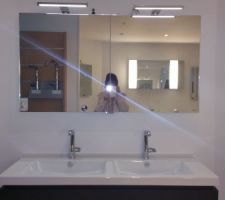 La double vasque de la salle de bain modéle essentiel de chez sanijura