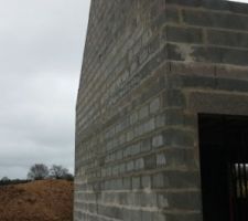 Pignon cot&eacute; gauche, la o&ugrave; se trouvera une partie du jardin.