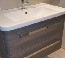 Meuble simple vasque RDC
